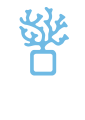 Akua